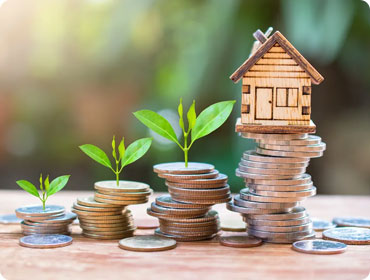 Investment Strategies